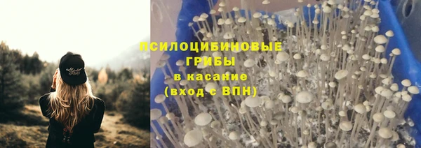 Альфа ПВП Мегион
