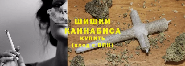 Альфа ПВП Мегион