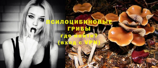 кокаин Медвежьегорск