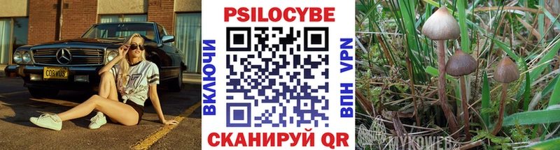 Псилоцибиновые грибы Cubensis  где купить   МЕГА онион  Тбилисская 